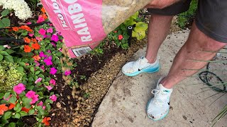 Plant Shopping at Lowes and Home Depot Then Edging The Garden With Gravel