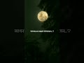 Abu Taha Muhammad Adnan Whatsapp Status Islamic Status