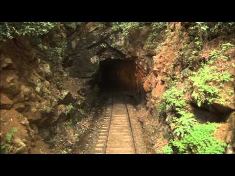 download lagu mp3 mp4 Tennessee Train Trips, download lagu Tennessee Train Trips gratis, unduh video klip Tennessee Train Trips