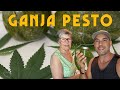 GANJA Leaf Basil Pesto ️