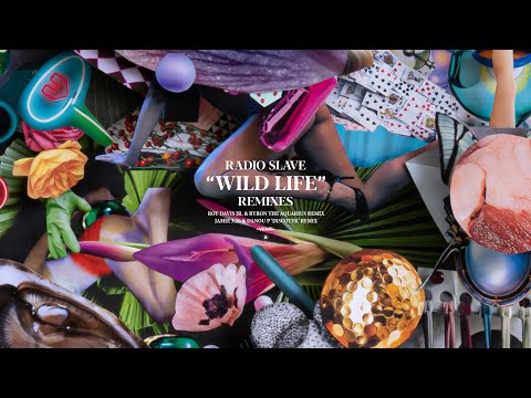 Radio Slave - Wildlife (Roy Davis Jr  & Byron The Aquarius Remix)