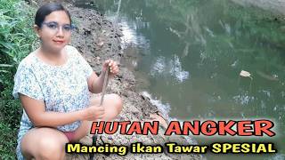 Download lagu iKAN TAWAR SPESIAL' mancing di sungai besar hutan pedesaan mp3
