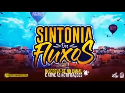 TCHAU PRA MAL AMADA - MC Levin e DJ Arana (DJ Theuz ZL)