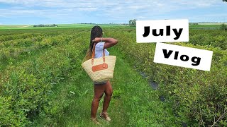 VLOG: Bags, House Reno, Summer Adventures  & Nigerian Parties || YellowSparksJoy