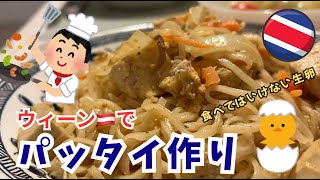 【海外生活】二人でパッタイ作り / オーストリアで禁断の生卵を食べた話 etc.