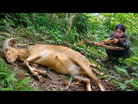 200 Days of Wilderness Survival: Hunting Wild Goats and Building a Safe New Shelter