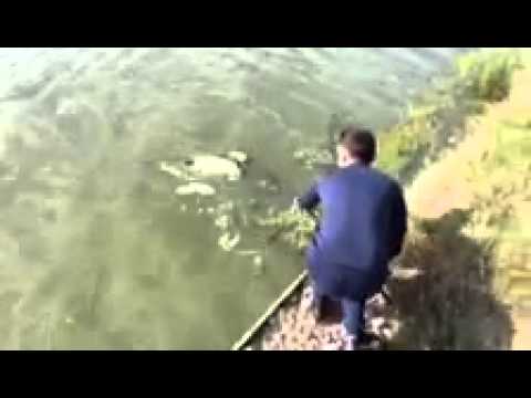 Crap 8 kg la balta Sulimanu