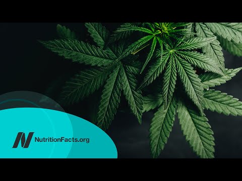 The Institute of Medicine Report on the Health Effects of Marijuana