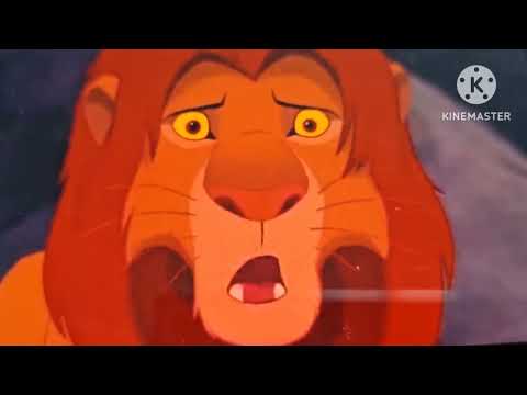 Animal story part 15 Terence's window to Timmy's