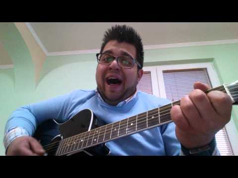 Zabluda - Zeljko Joksimovic & Toni Cetinski ( cover Bogdan Vasilevski )