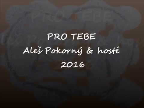 Aleš Pokorný & hosté - Pro Tebe