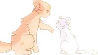 whisky lullabies || Snowkit