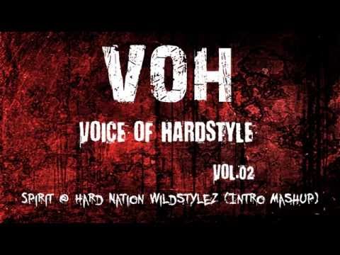 Voice Of Hardstyle Vol.02 2014.01.24