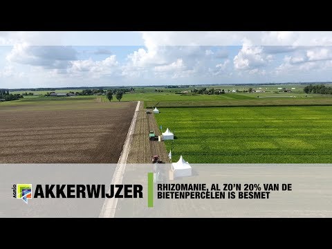 , title : 'Rhizomanie, al zo'n 20% van de bietenpercelen is besmet - www.akkerwijzer.nl'