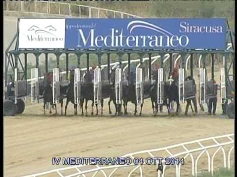 Galoppo Corse del 04 Ottobre 2014