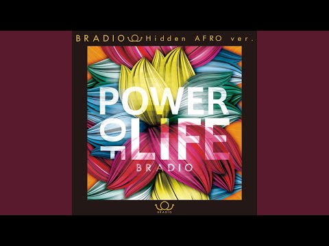 Chocolate Flavor (Hidden AFRO ver.)