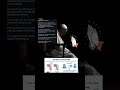 Rome Pope Francis Health Hospital Pray Prayers Help Healing Peace Vatican Italy Church