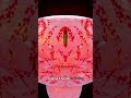 What Happens When You Hold Pee For Too Long Short Urineinfection Creativelearning3d