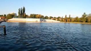 Рыбалка на северском донце в каменск-шахтинске