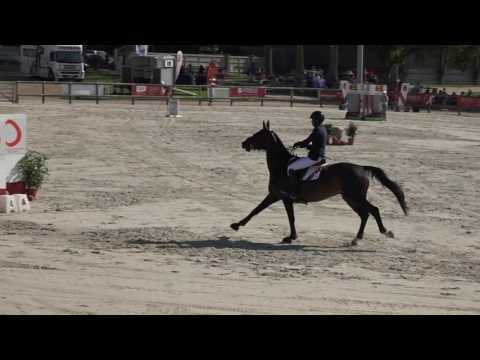 Starlette de la Roque et Edward Levy - Vainqueurs Grand Prix CSI2* Deauville