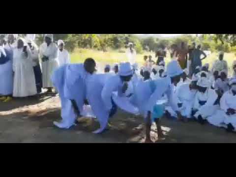 Handimusiye kusvika ndaenda kuzororo by Unknown Artist (Zviratidzo Zvavapostora)