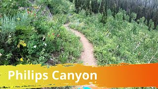 Philips Canyon Trail