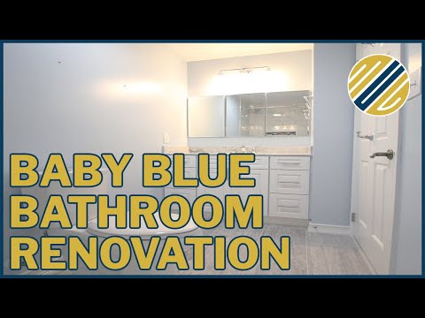 Rita's Guest Bathroom in Reston, VA