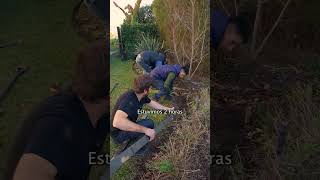 Video de Esquinero de 7 cm de alto