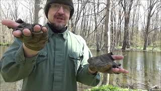That's How People Are! Chipmunk Ramble - Everyone Is Into Mercy When They Are The One Under The Guns