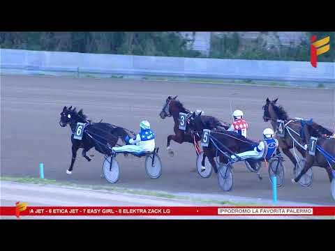 V corsa del 11 febbraio 2023 - 3 Anni - Metri 2000