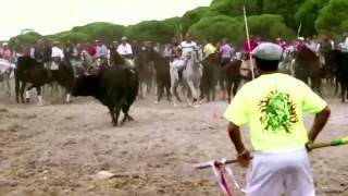 Santa Fiesta Trailer Feelmakers