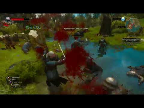 Witcher 3 - Bear Armor build