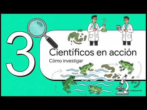 Arroyo Salto en Colonia Ensayo,  Entre Rios,: "El peaje de la contaminación"