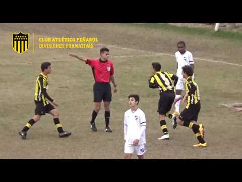 Sub 16 | Sub 14 | Campeones Apertura 2016