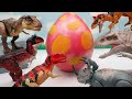 Dinosaurs In Giant Dinosaur Egg! Let's Break The Dinosaur Egg