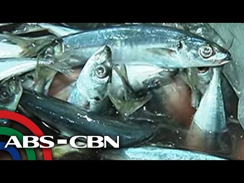 Yellowing kuko ituturing Mabisang lunas para sa kuko halamang-singaw sa kanyang mga paa ng mga video