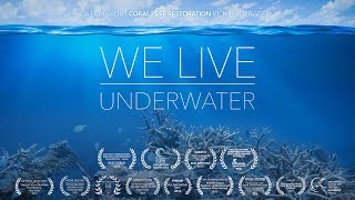 We live underwater (Biorock Coral Reef Restoration / Artificial Reef)