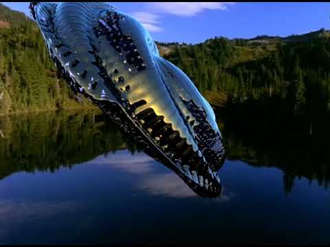 Rumpistol - Slower Drops [Official Video]