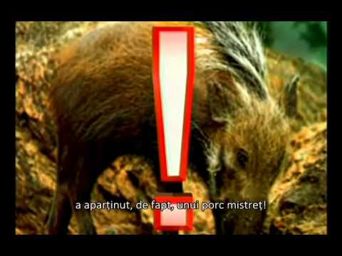 Destramarea Darwinismului (Teoria Evolutiei) - 6