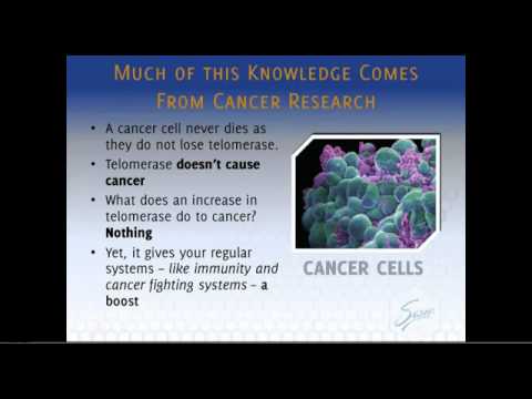 TS-X - The Power of Telomere Support.mp4