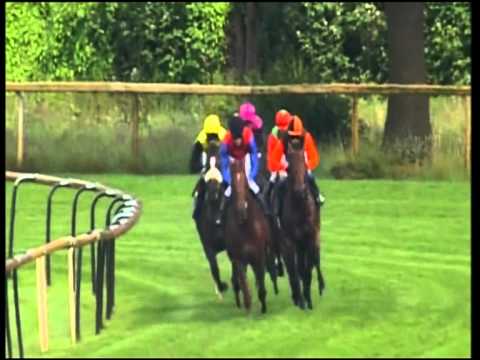 Bremen, swb Derby-Trial, 17.6.2012 - Sieger: Baltic Rock