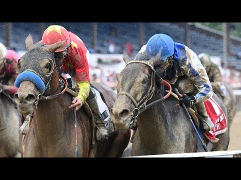 The Personal Ensign (G1) 2018 -  Abel Tasman