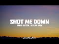 David Guetta ft Skylar Grey - Shot Me Down (lyrics)