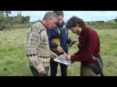 Proyecto PPD: "Abordaje participativo de las limitantes de producción animal ecológica" - Canelones