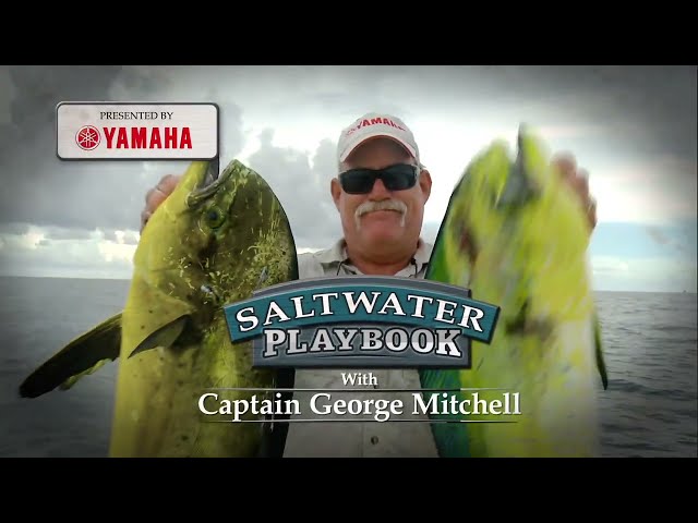 YAMAHA Outboard Fuel Filter Element YAMAHA Outboard Fuel Filter Element