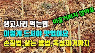 미끌거리지않게 생고사리로 말리지말고 드세요! 고사리 꺾은후 가장 먼저할일!