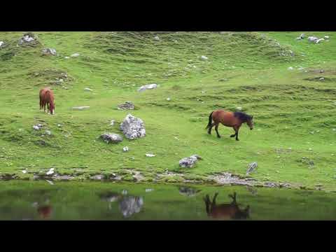 Traseu in Bucegi - Cabana Malaiesti - Lacul Tiganesti
