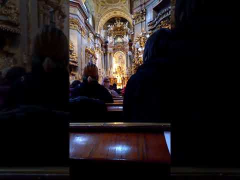 Organ at Peterskirche Wien Austria 2020