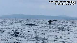 サーフサイドサービス　ハイサイ