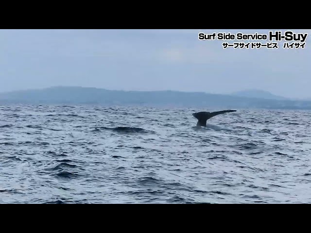 サーフサイドサービス　ハイサイ